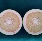 Pomelo